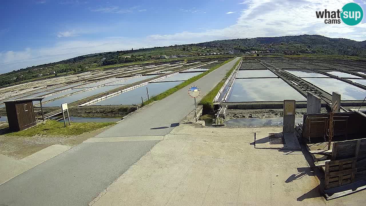Krajinski Park Sečoveljske Soline