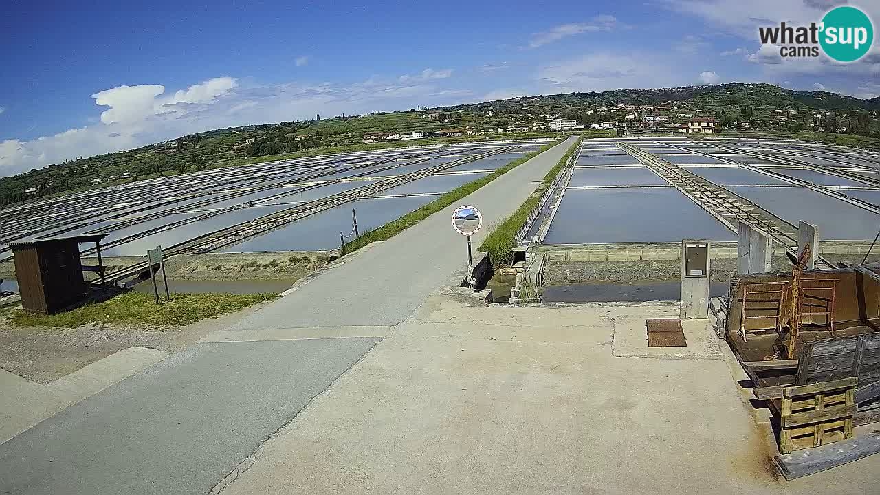 ﻿Sečovlje Salina Nature Park – KPSS