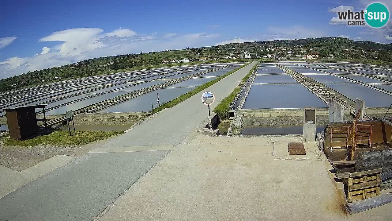 Sečovlje Salina Nature Park