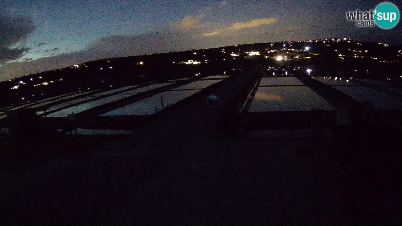 Naturpark der Salinen von Sečovlje