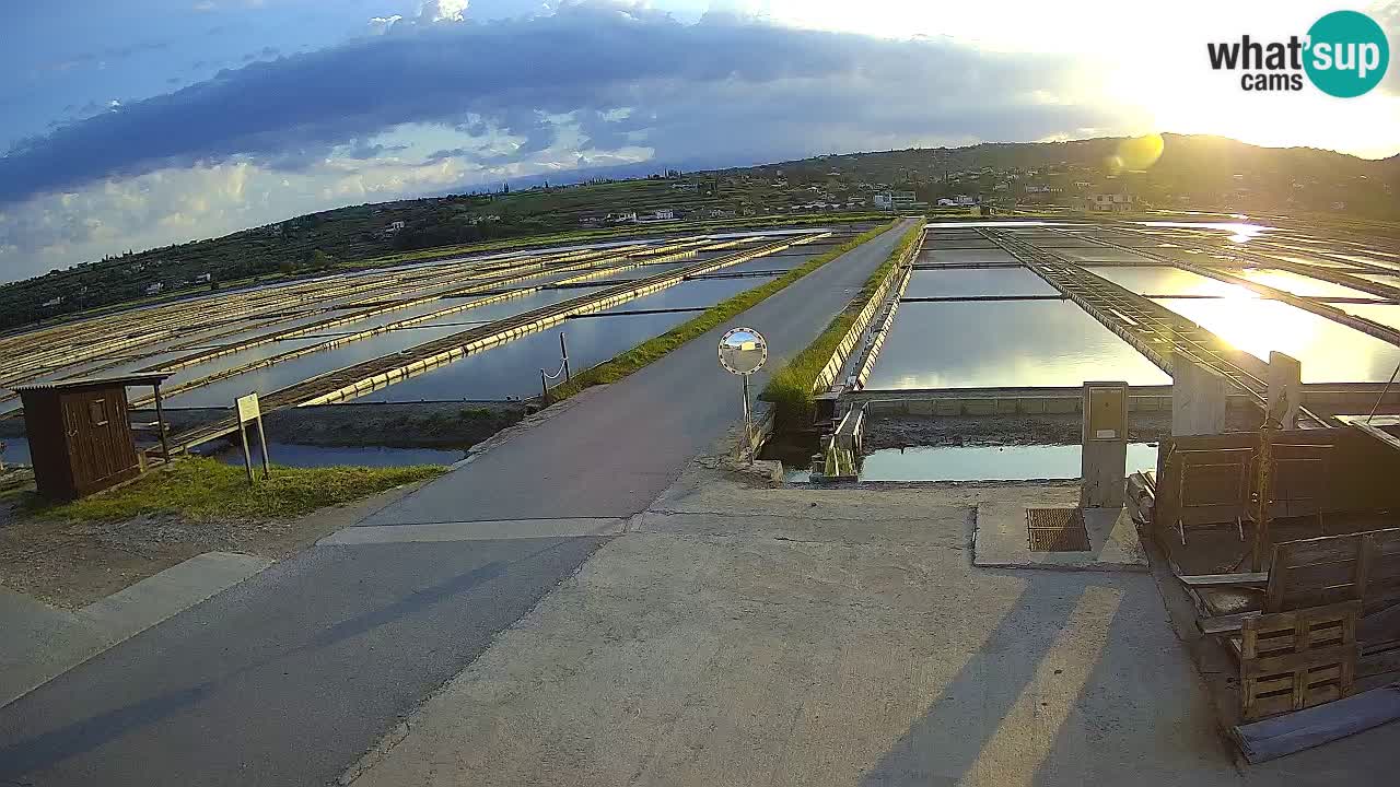 ﻿Sečovlje Salina Nature Park – KPSS