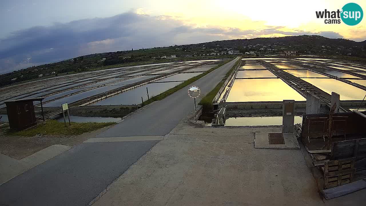 ﻿Sečovlje Salina Nature Park – KPSS