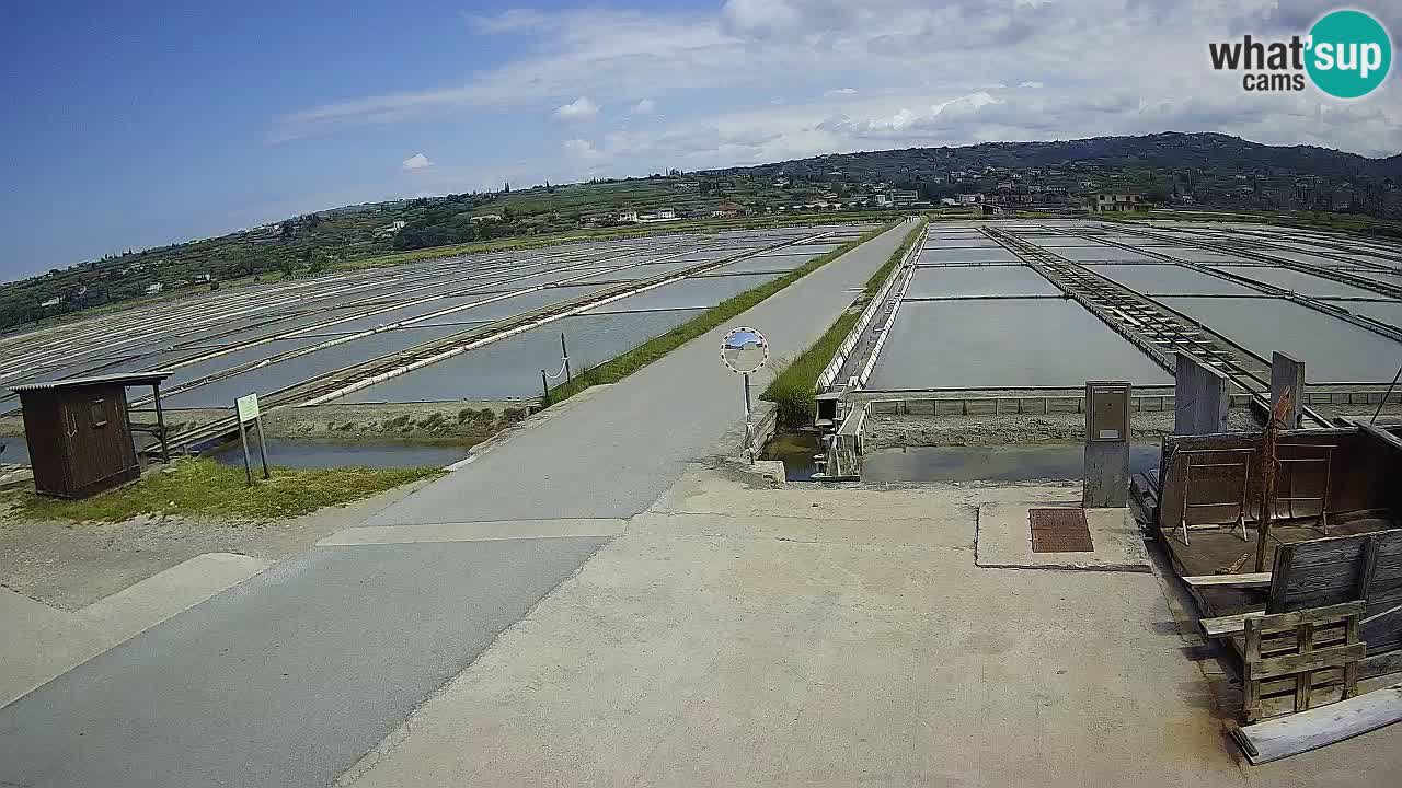 ﻿Sečovlje Salina Nature Park – KPSS