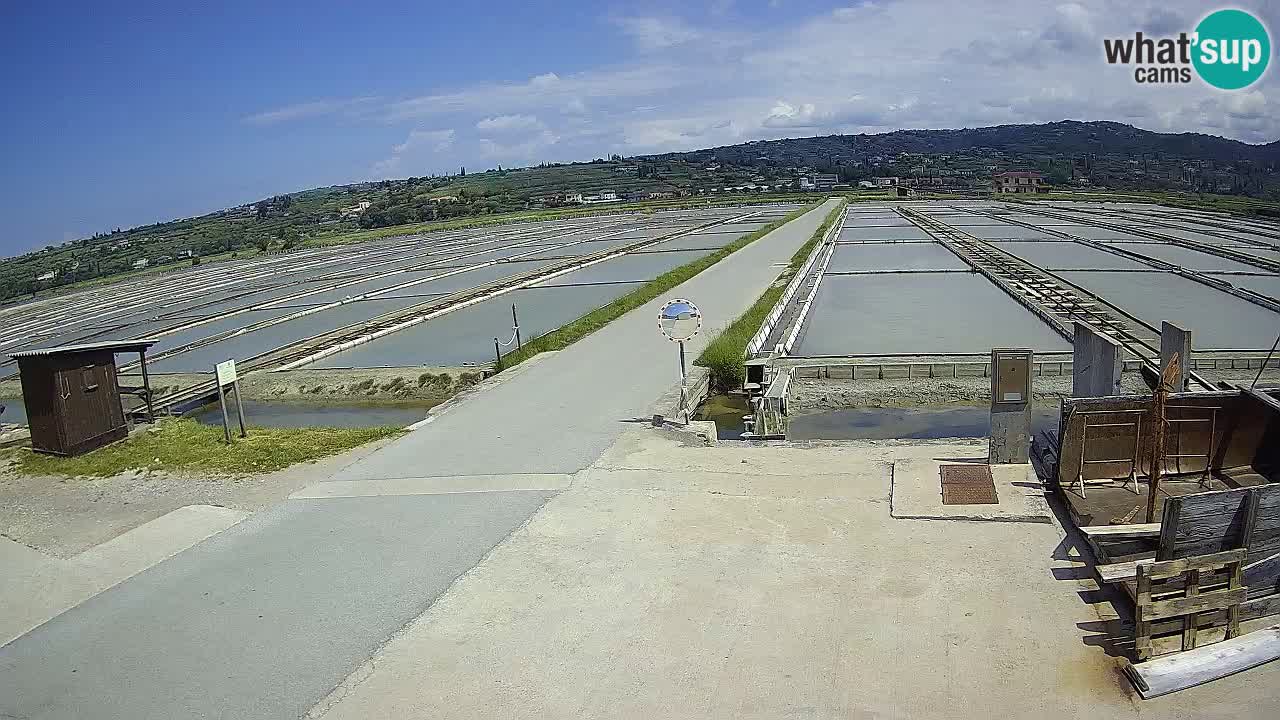 Sečovlje Salina Nature Park