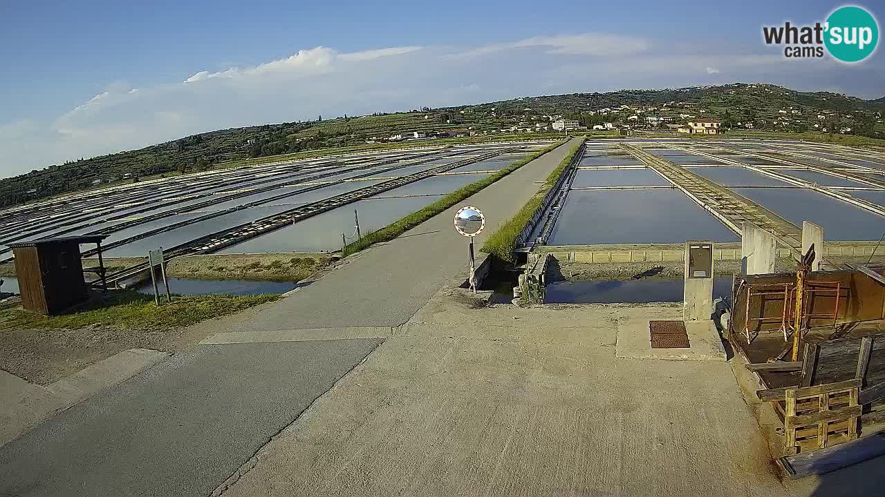 Park prirode Sečovlje Salina