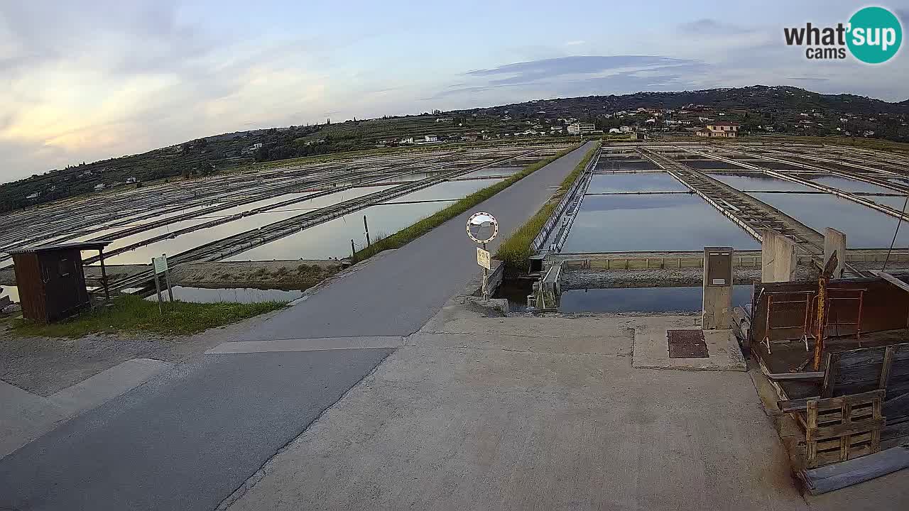 Sečovlje Salina Nature Park