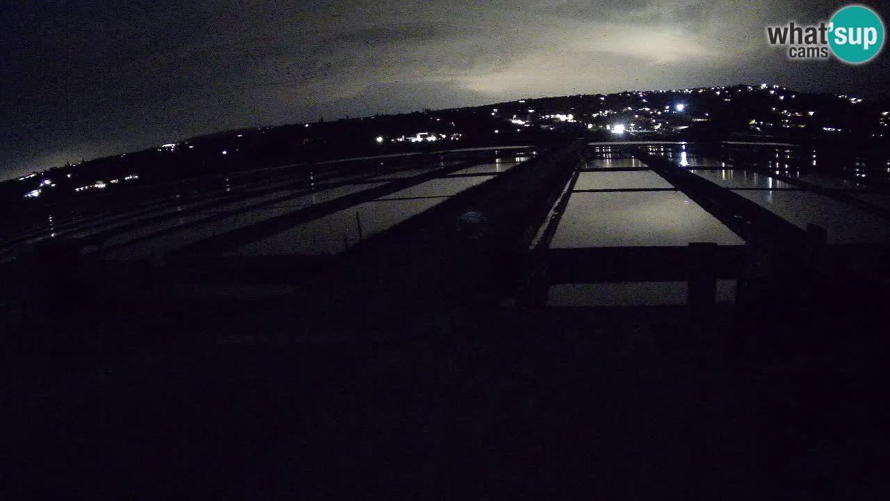 Krajinski Park Sečoveljske Soline