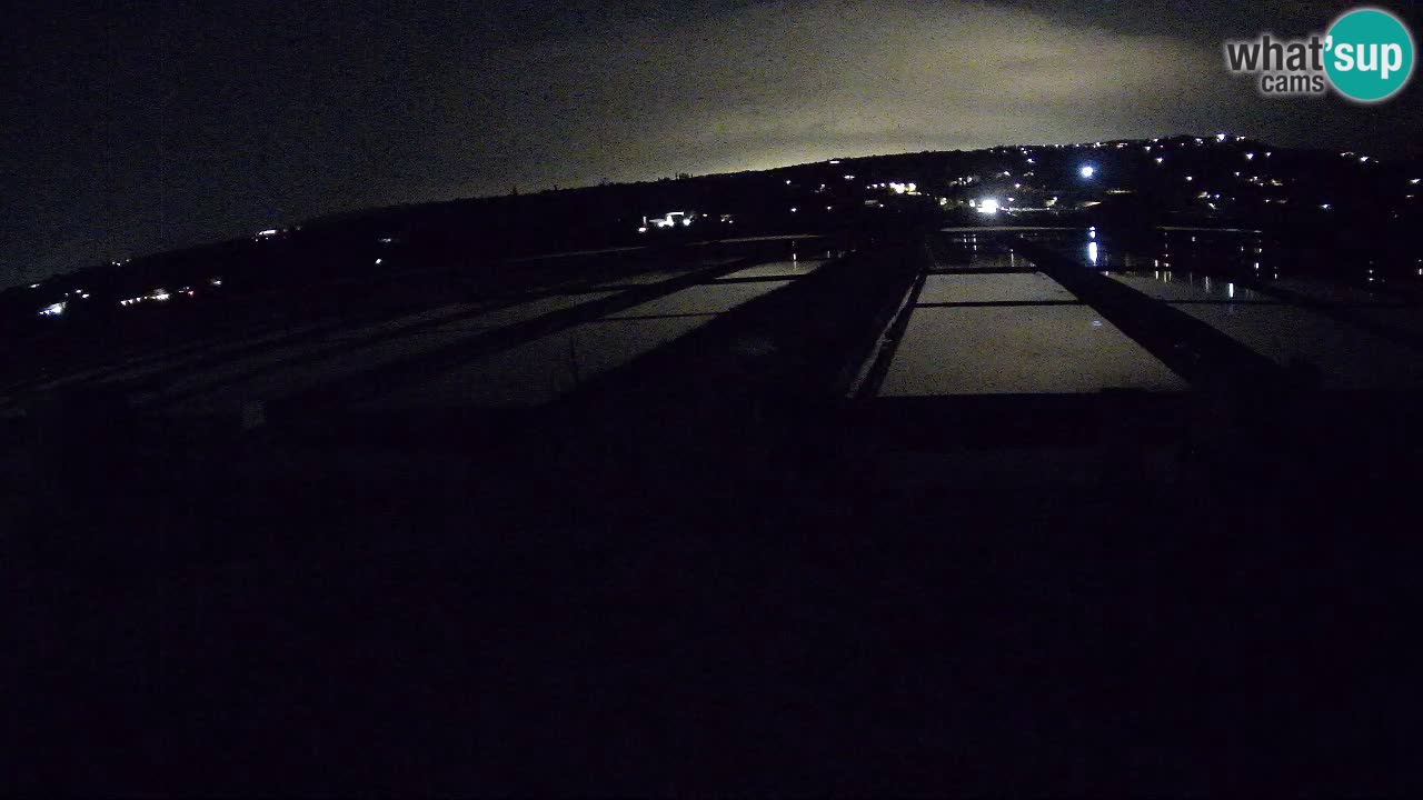 Sečovlje Salina Parque Natural