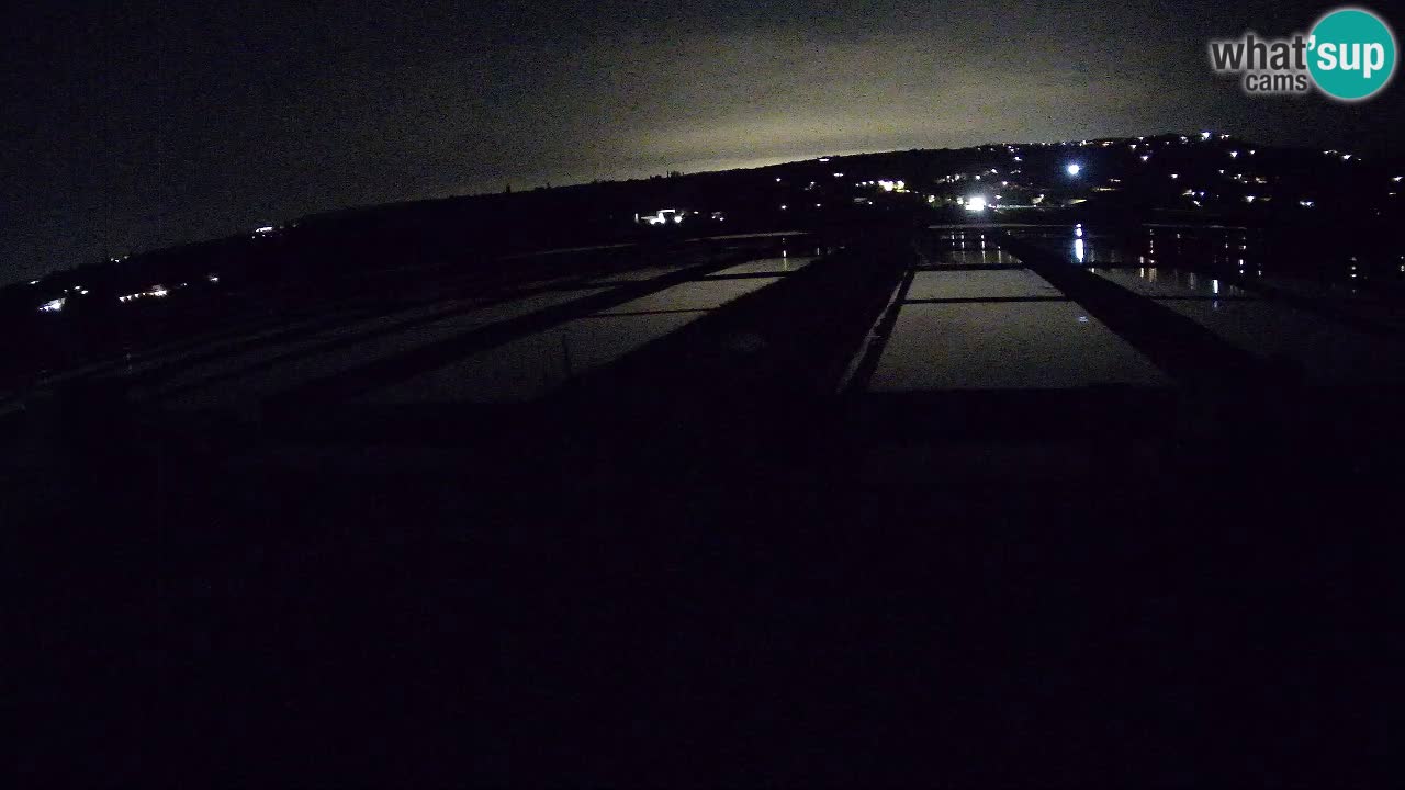 Sečovlje Salina Parque Natural