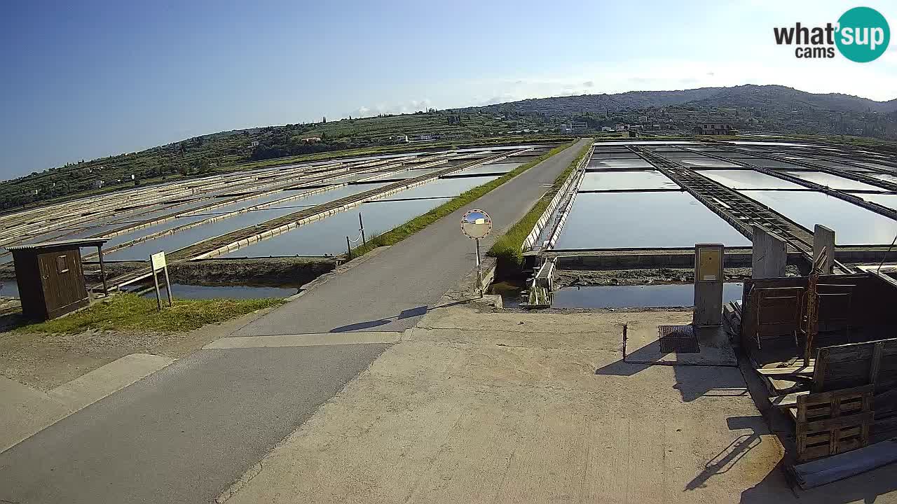 Krajinski Park Sečoveljske Soline