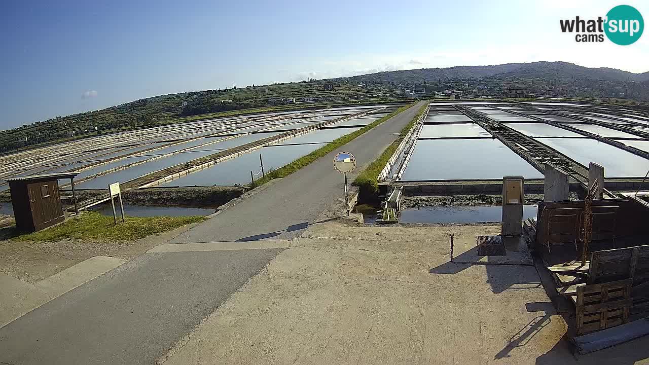 Parco Naturale Saline di Sicciole