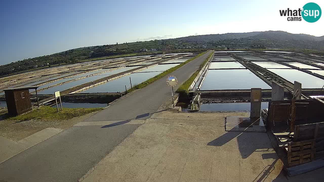 Sezza – Panorama e le saline