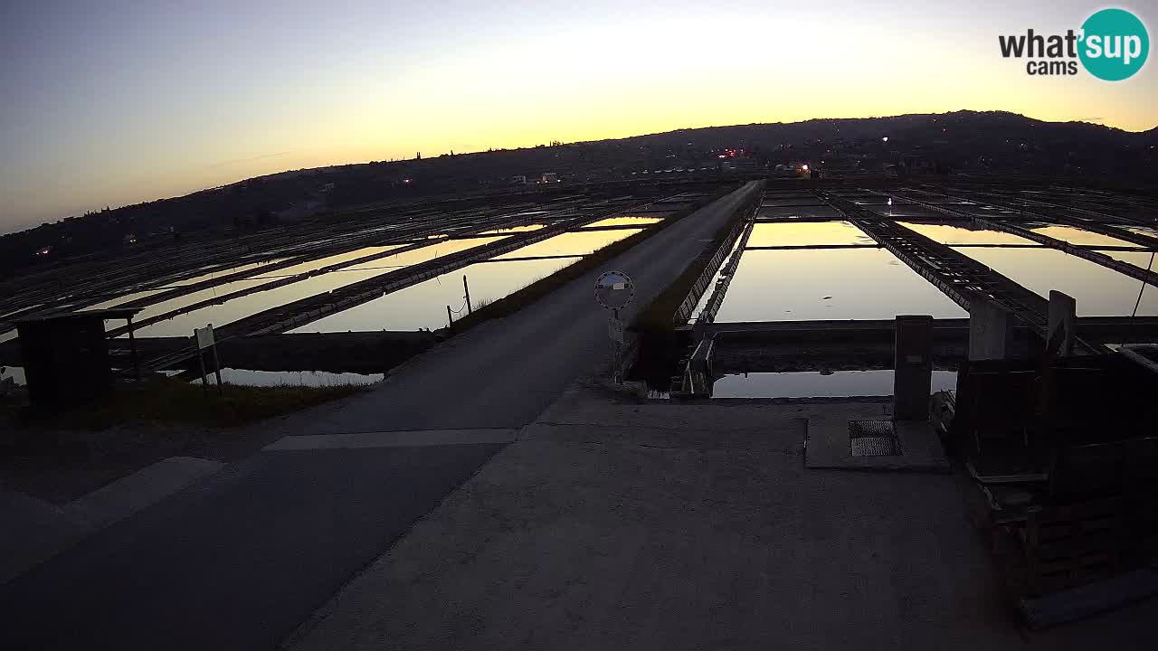 ﻿Sečovlje Salina Nature Park – KPSS