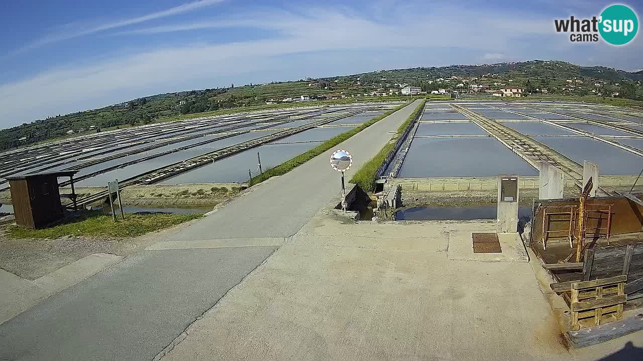 Sečovlje Salina Parque Natural