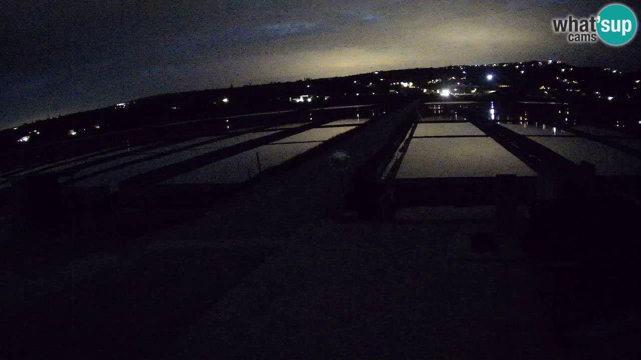 ﻿Sečovlje Salina Nature Park – KPSS
