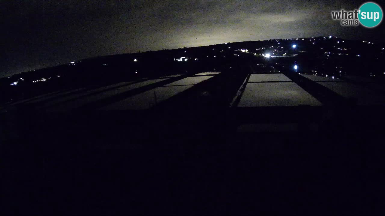 Krajinski Park Sečoveljske Soline