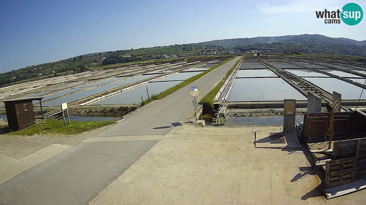 Parco Naturale Saline di Sicciole