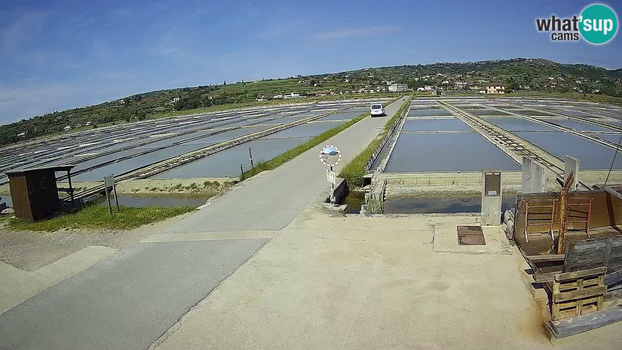 Naturpark der Salinen von Sečovlje