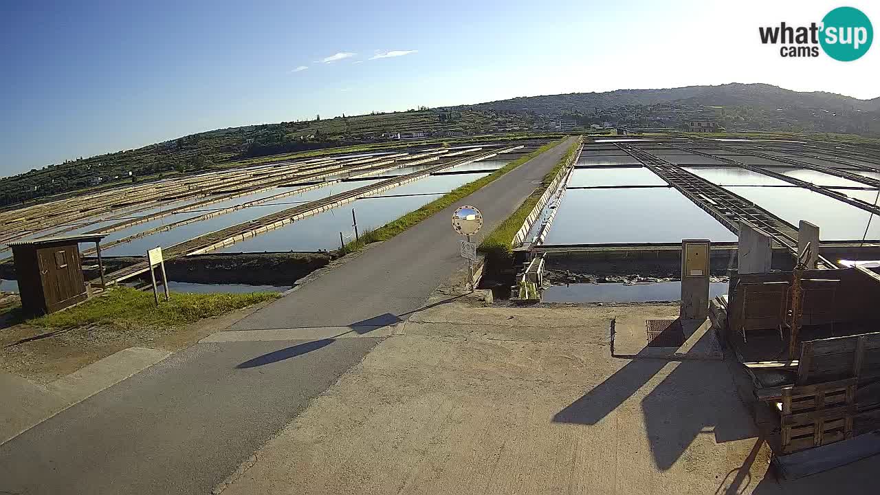 Krajinski Park Sečoveljske Soline
