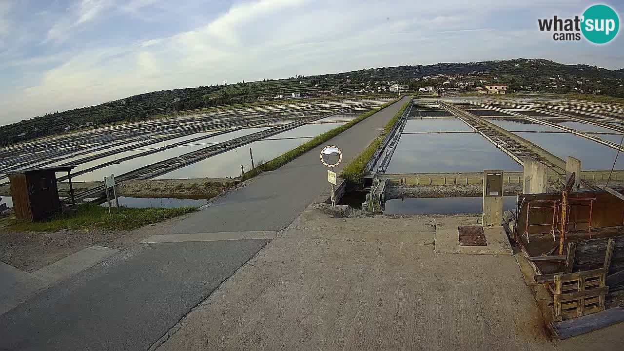 Krajinski Park Sečoveljske Soline