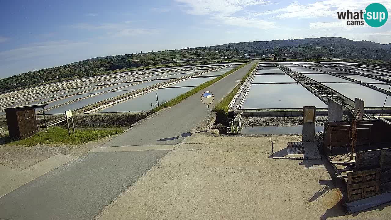 Sezza – Panorama e le saline