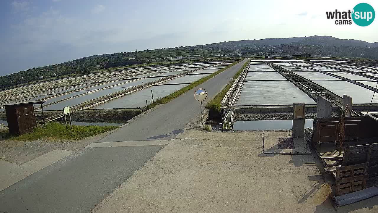 Krajinski Park Sečoveljske Soline