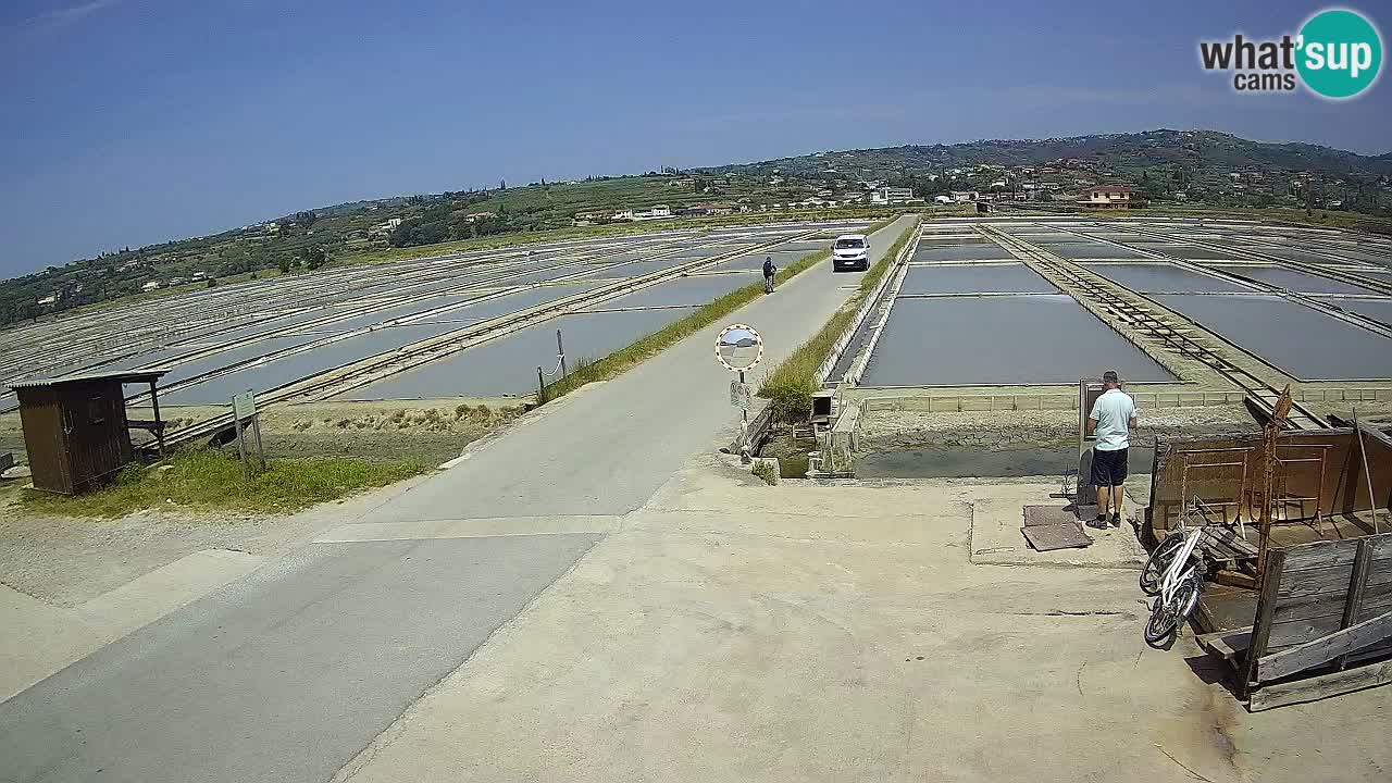 Parco Naturale Saline di Sicciole
