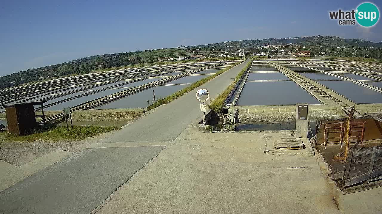 ﻿Sečovlje Salina Nature Park – KPSS