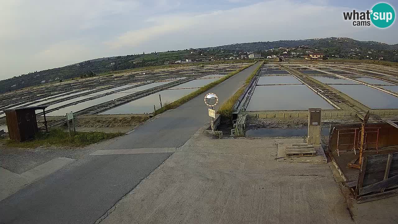 ﻿Sečovlje Salina Nature Park – KPSS