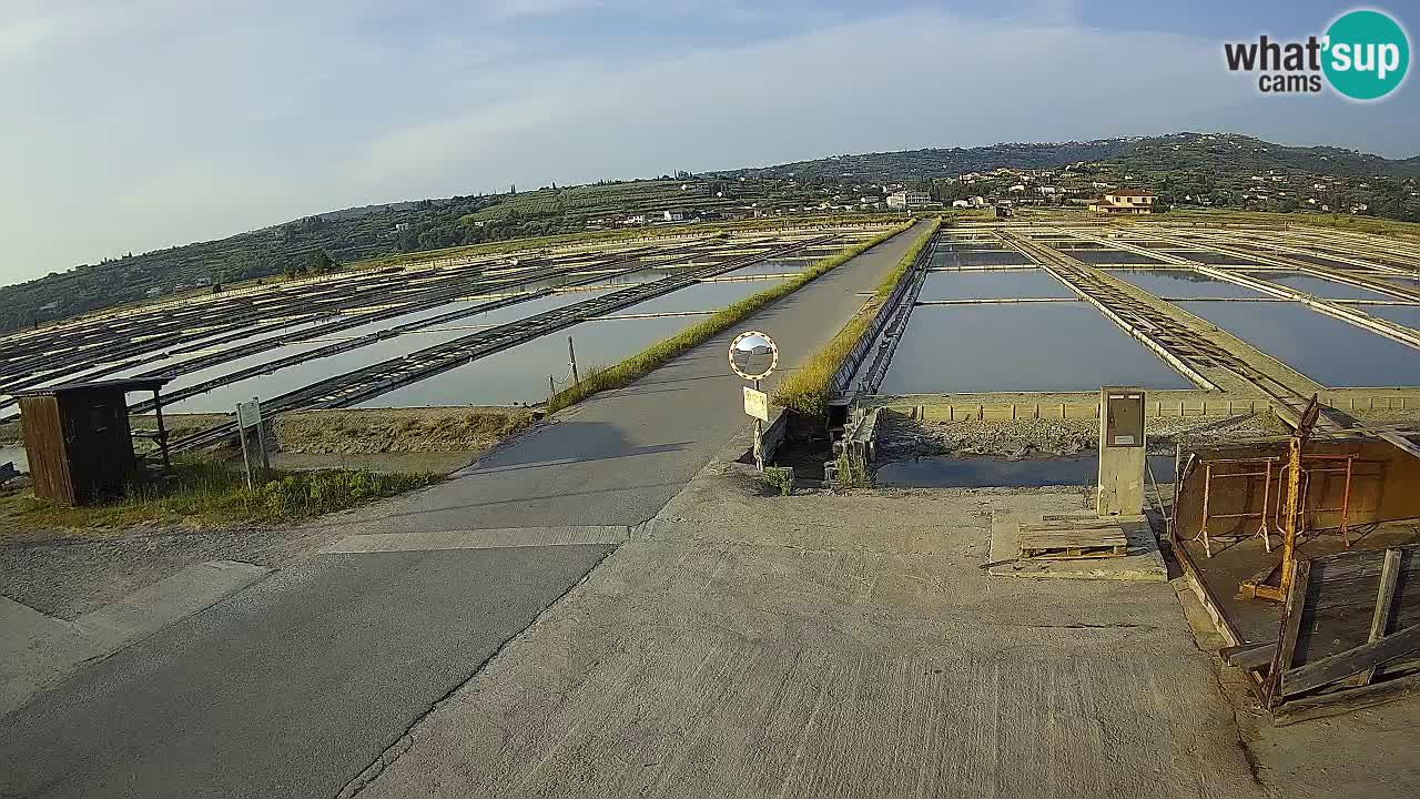 ﻿Sečovlje Salina Nature Park – KPSS