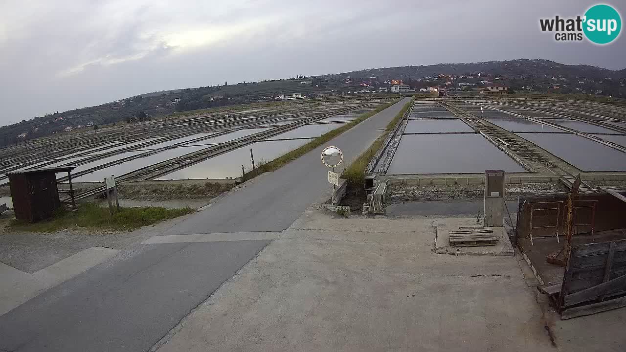 ﻿Sečovlje Salina Nature Park – KPSS