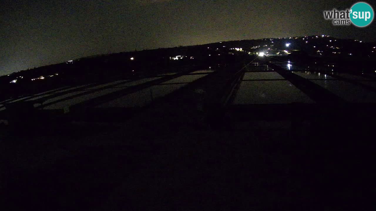 Krajinski Park Sečoveljske Soline