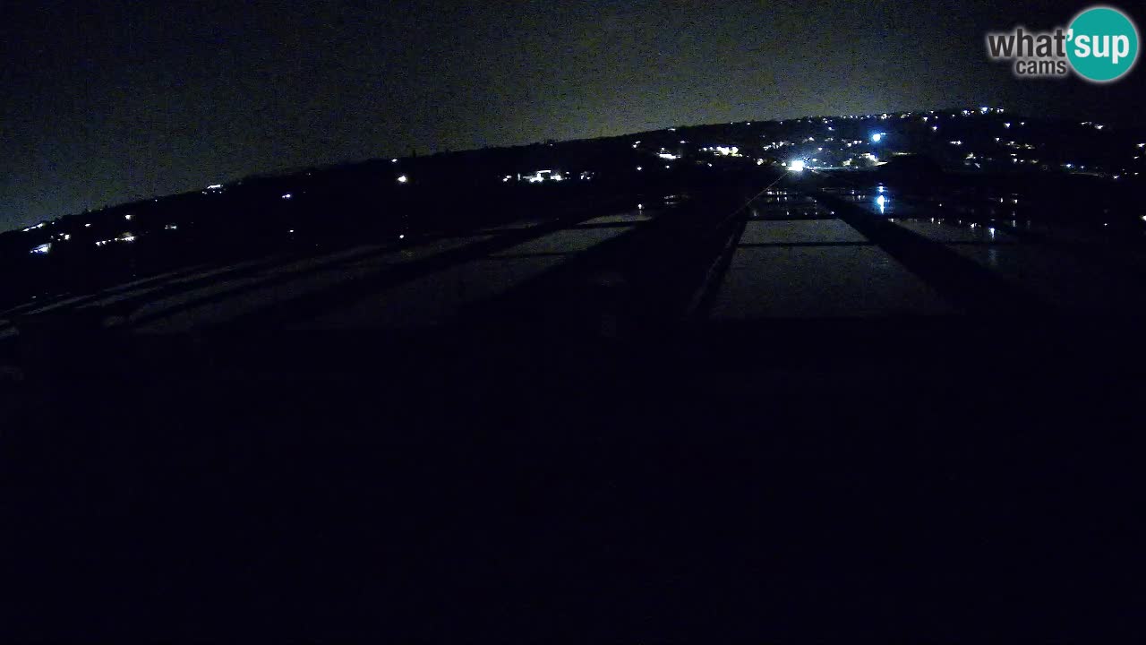 Krajinski Park Sečoveljske Soline