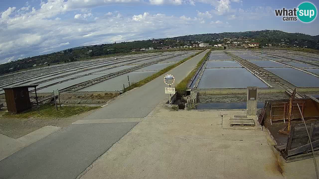 ﻿Sečovlje Salina Nature Park – KPSS