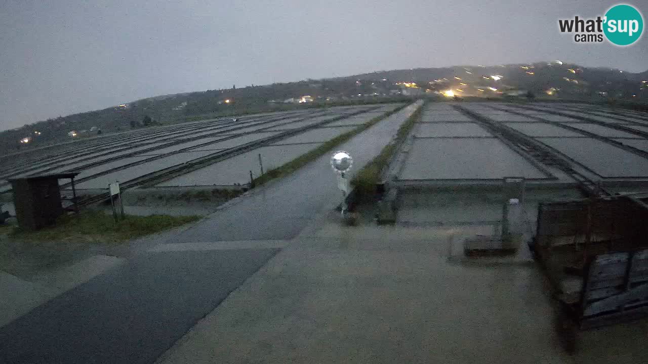 Krajinski Park Sečoveljske Soline