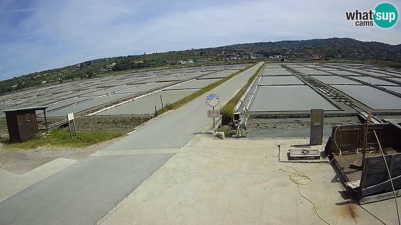 Sezza – Panorama e le saline