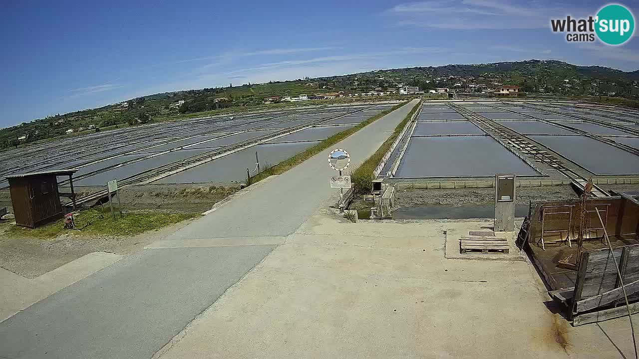 Krajinski Park Sečoveljske Soline