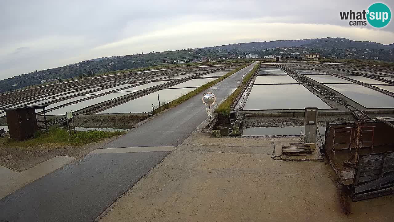 Sezza – Panorama e le saline