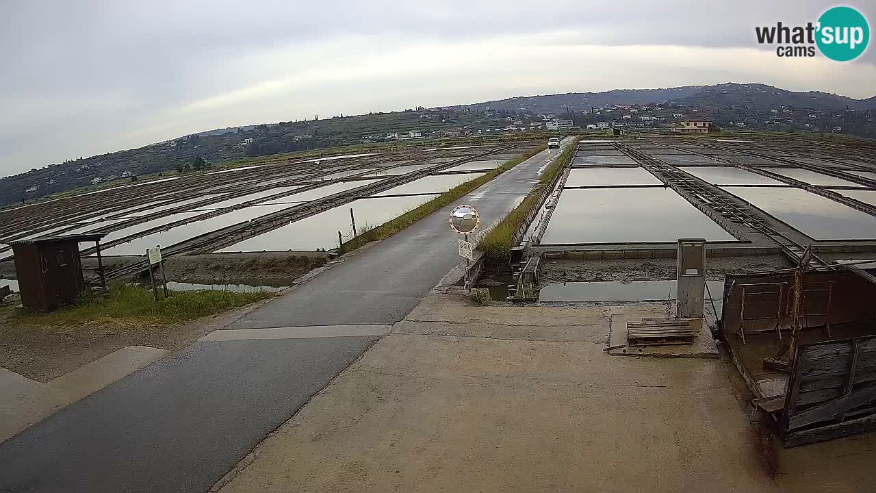 Sezza – Panorama e le saline