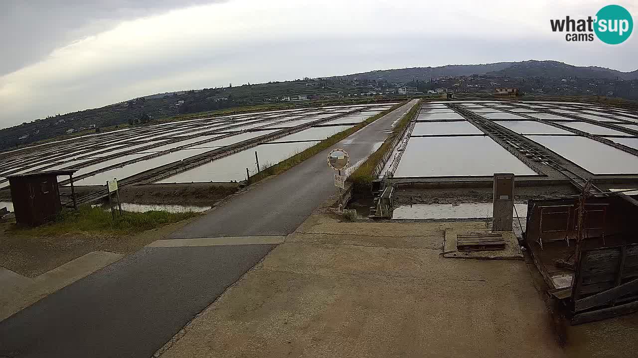 Sezza – Panorama e le saline