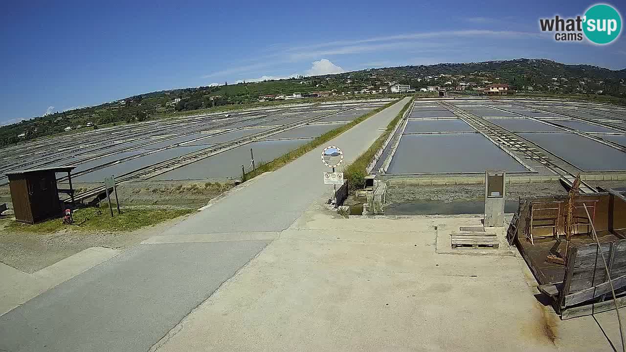 Naturpark der Salinen von Sečovlje