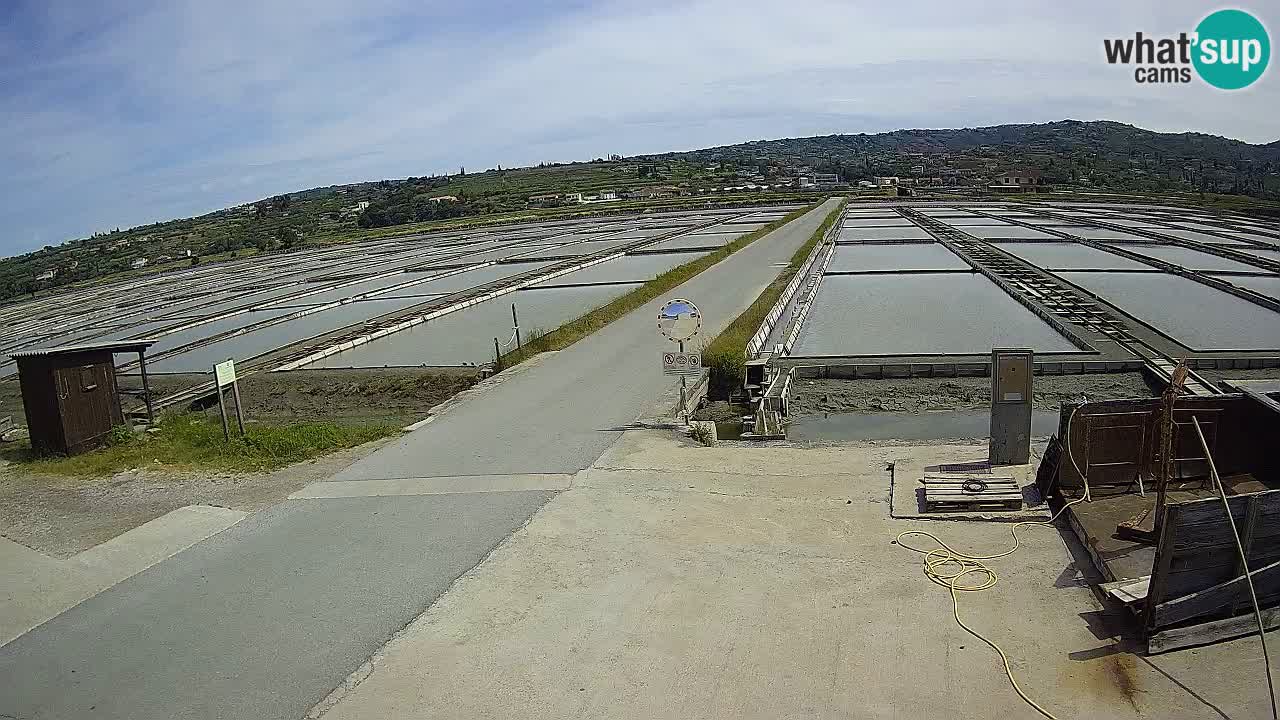 Sezza – Panorama e le saline