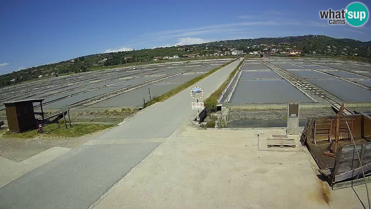 Parco Naturale Saline di Sicciole