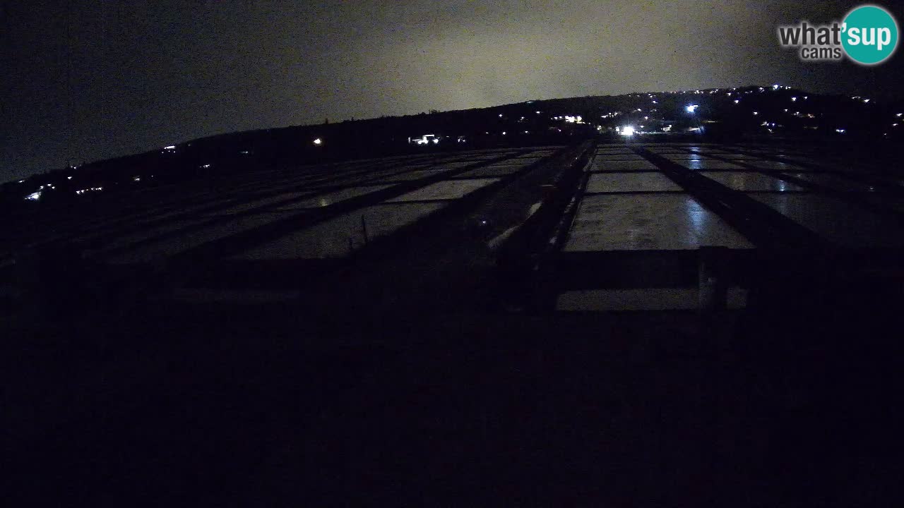 Krajinski Park Sečoveljske Soline
