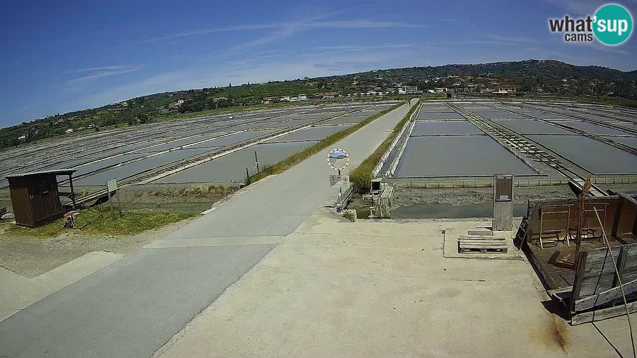 Krajinski Park Sečoveljske Soline