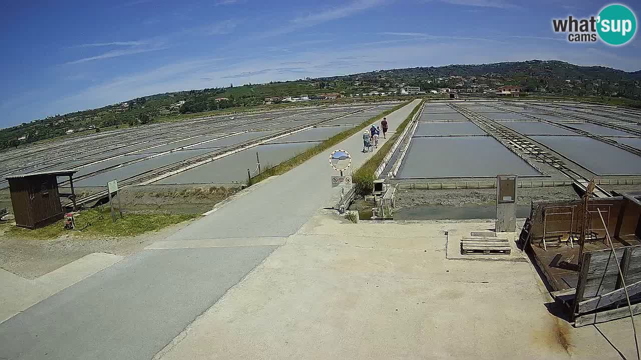 Sečovlje Salina Parque Natural