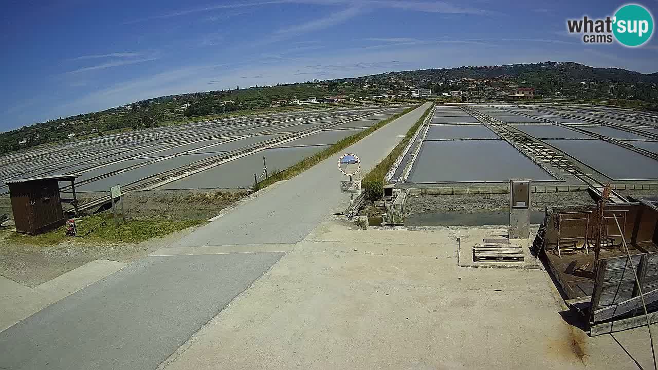 Seča – Panorama in soline