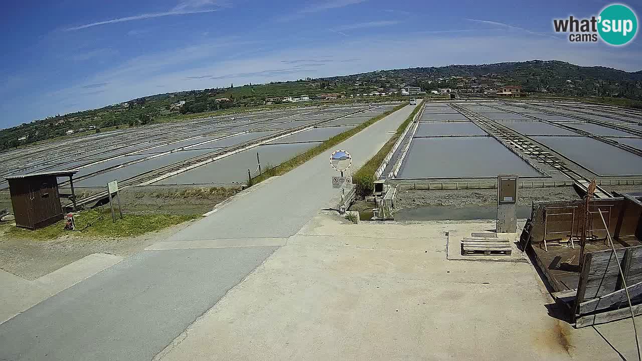 Sečovlje Salina Parque Natural