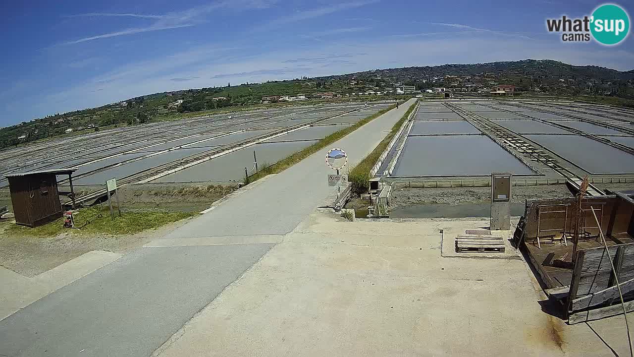 Sečovlje Salina Parque Natural