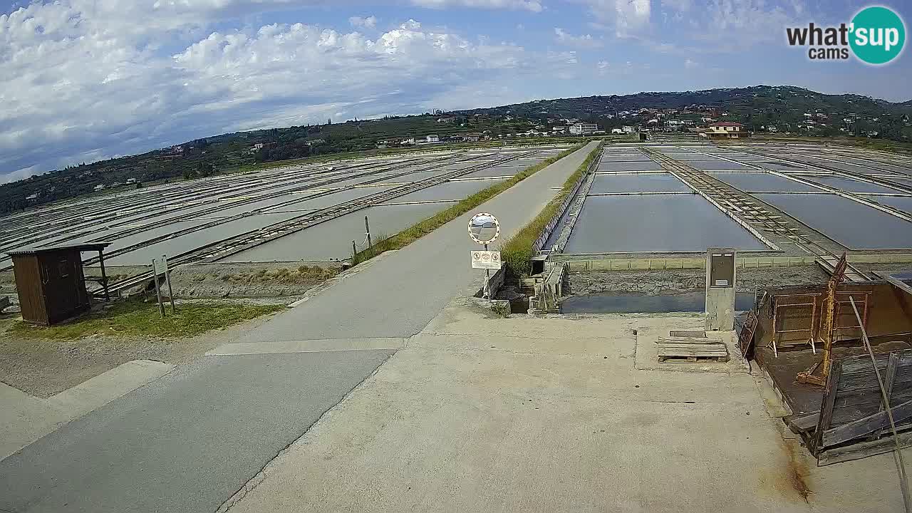 Seča – Panorama in soline